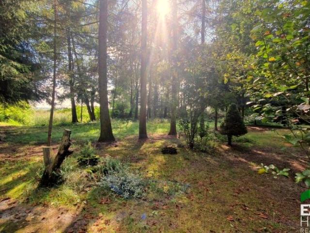 Działka 4 391 m², Izbiszcze