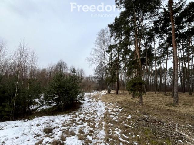 Działka 4 418 m², Kopanino
