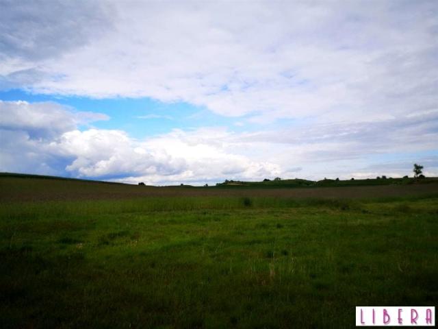 Działka 4 504 m², Wilcze
