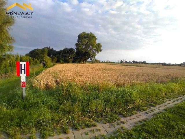 Działka 4 500 m², Kobyla Kępa