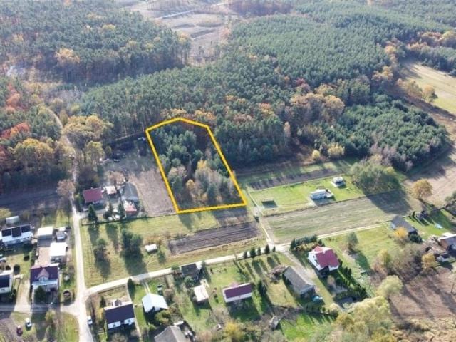 Działka 4 500 m², Lubasz