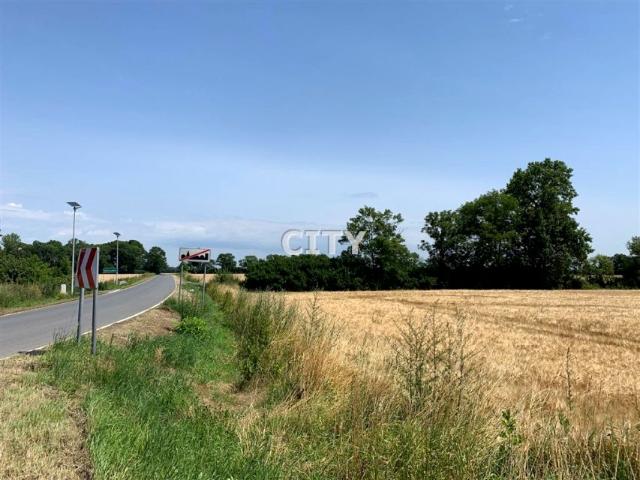 Działka 4 500 m², Święta Katarzyna