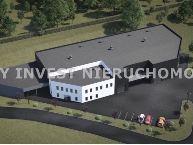 Działka 4 500 m², Zielona Góra