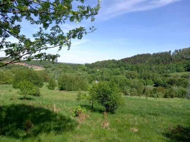 Działka 4 526 m², Wałbrzych