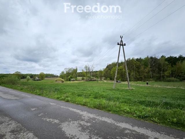 Działka 4 531 m², Grabniak
