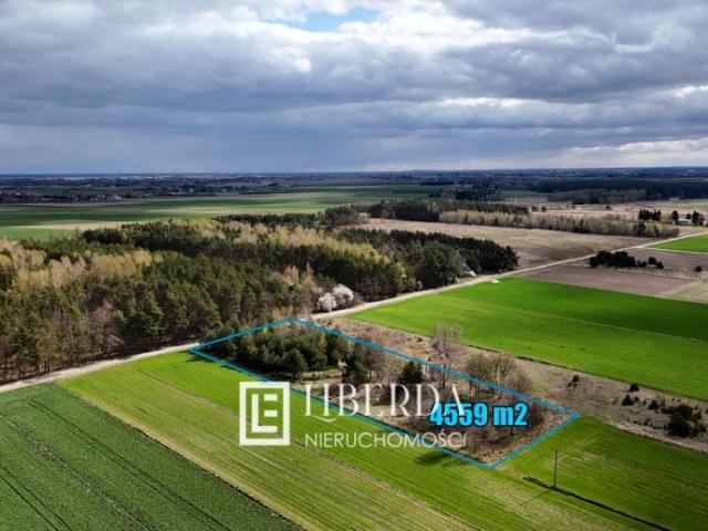 Działka 4 559 m², Łuszczów Pierwszy