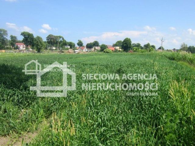 Działka 4 560 m², Sztutowo