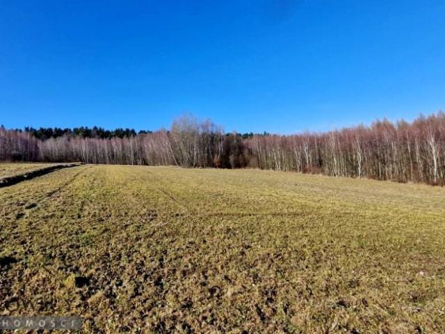 Działka 4 590 m², Biały Kościół