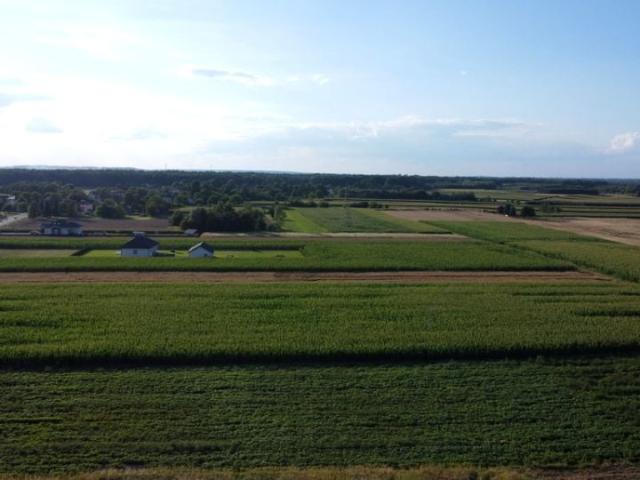 Działka 4 600 m², Gorzyce