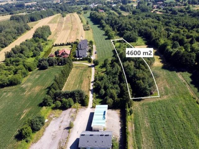 Działka 4 600 m², Kraczkowa