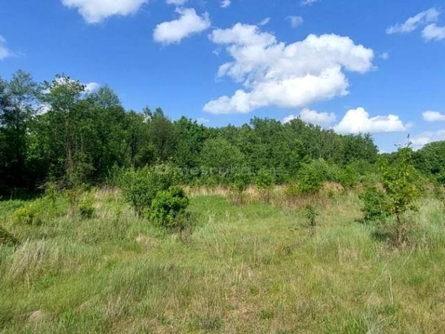 Działka 4 600 m², Lubicz Dolny