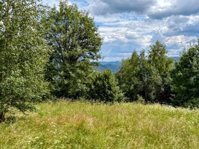 Działka 4 634 m², Ochotnica Dolna
