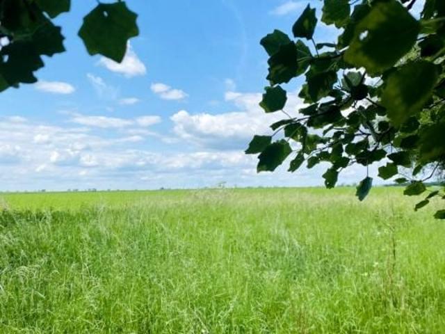 Działka 4 663 m², Baborowo