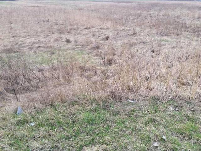 Działka 4 663 m², Długołęka
