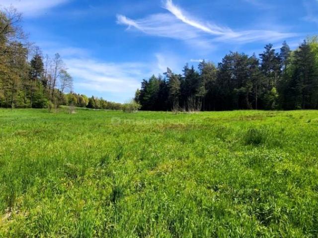 Działka 4 700 m², Klecza Dolna