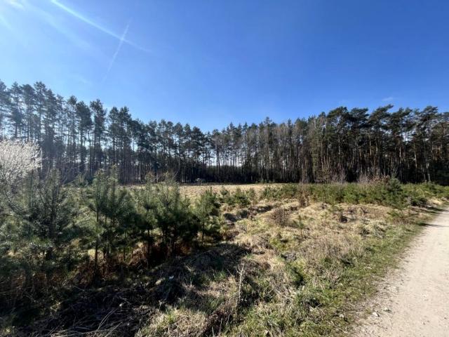 Działka 4 750 m², Biała Wieś