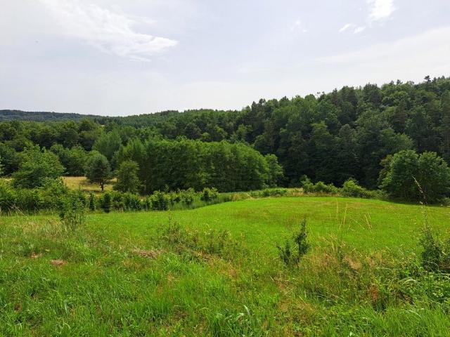 Działka 4 765 m², Dobra