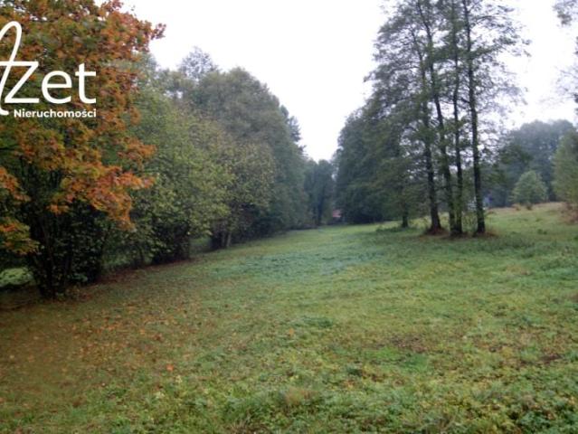Działka 4 778 m², Zwierki