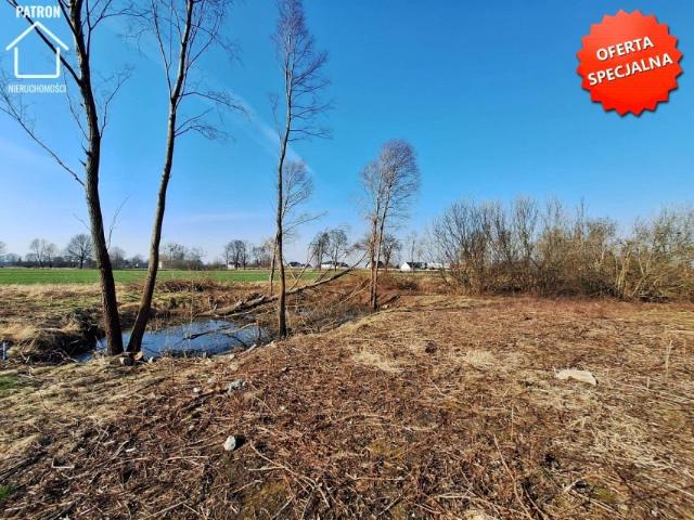 Działka 4 797 m², Cisy