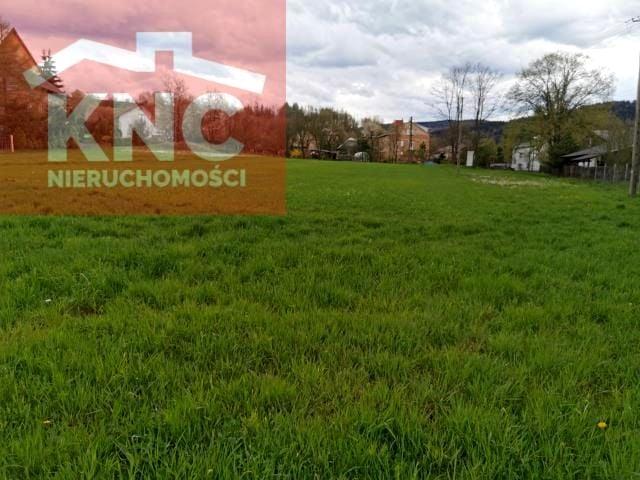 Działka 4 800 m², Iwla