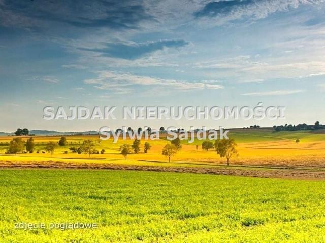 Działka 4 800 m², Jastrzębie Zdrój