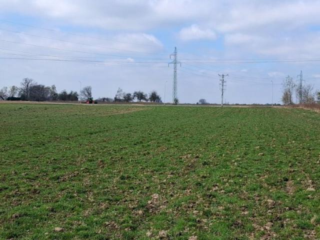 Działka 4 821 m², Żory