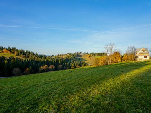 Działka 4 850 m², Bukowina Tatrzańska