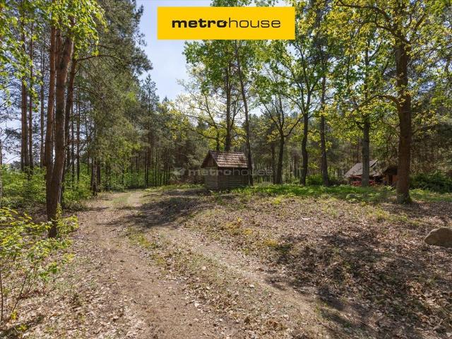 Działka 4 899 m² z lasem i domem w Cieńszej