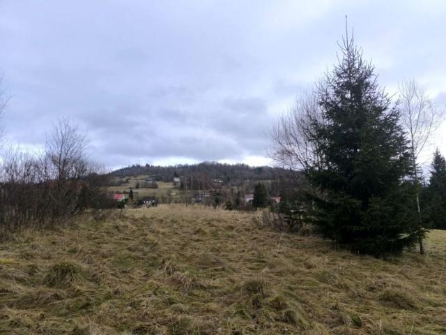 Działka 4 900 m², Laliki