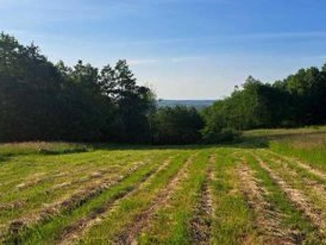 Działka 4 900 m², Lubenia