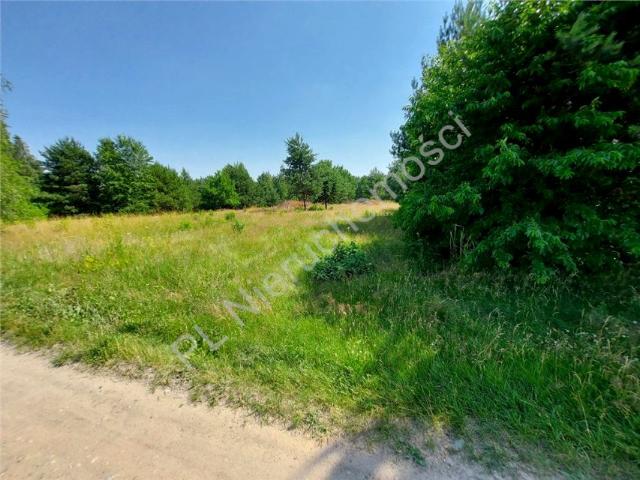 Działka 4 900 m², Nowe Załubice