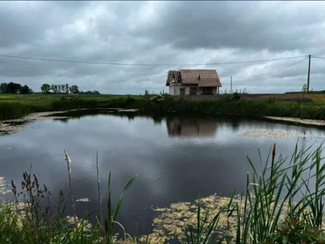 Działka 4 900 m², Rumunki Witkowskie