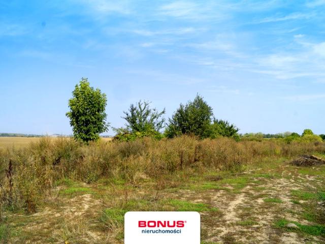 Działka 4 955 m², Kamieniec