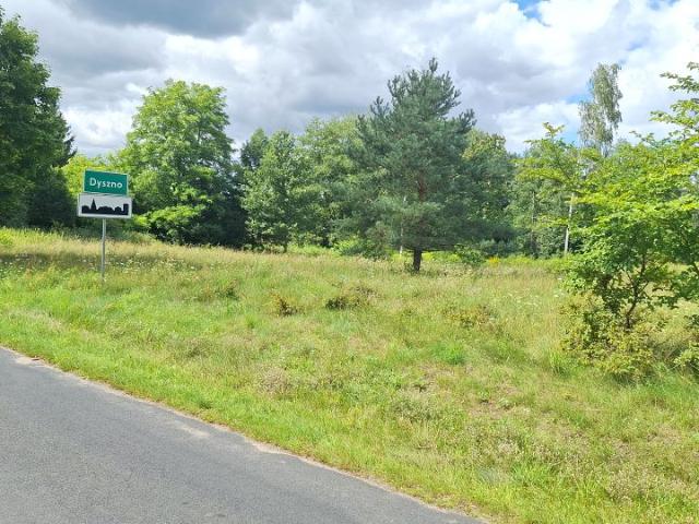 Działka 4 999 m², Dyszno