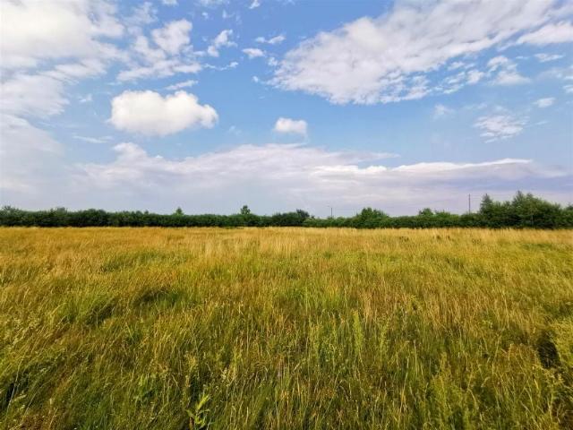Działka 544 m², Nowęcin