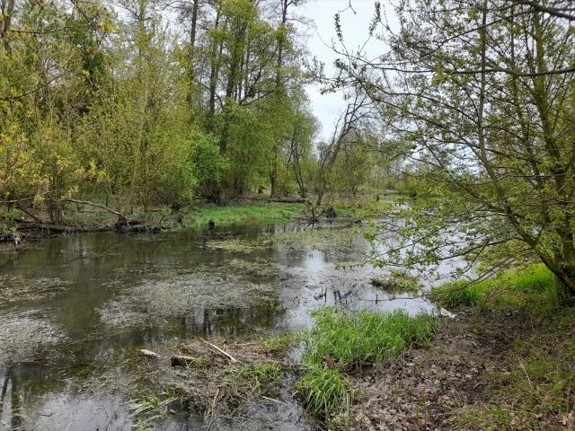 Działka 5490 m² z warunkami zabudowy i dostępem do rzeki