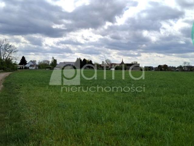 Działka 54 555 m², Bagna