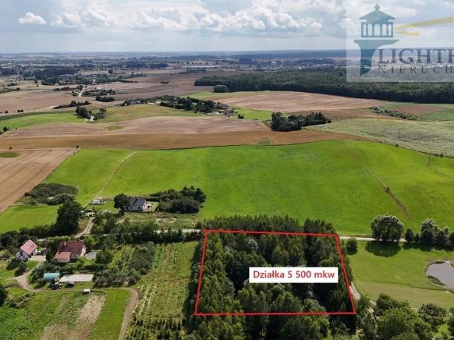 Sprzedam działkę 5500 m² z lasem i mediami w Trąbki Małe