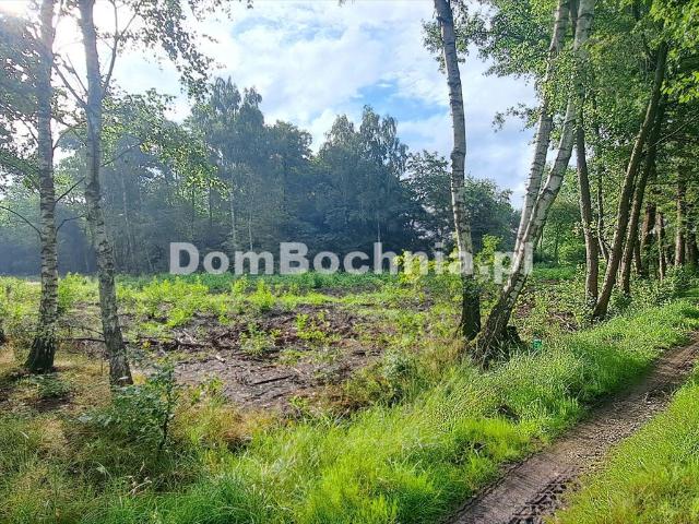 Działka 5600m² wśród drzew, cisza, media, Bratucice