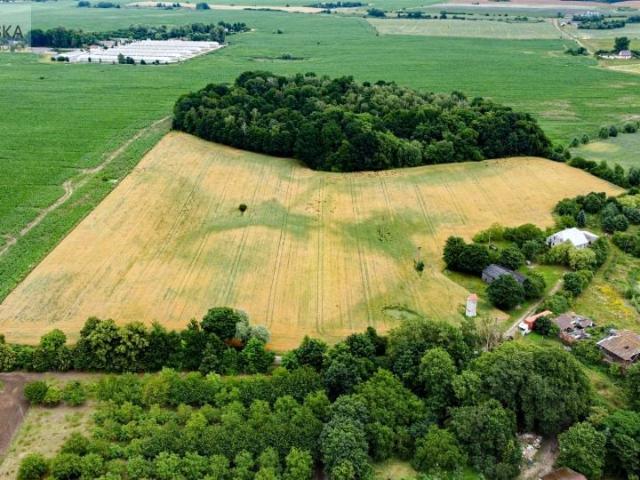 Działka 56 000 m², Róża Wielka