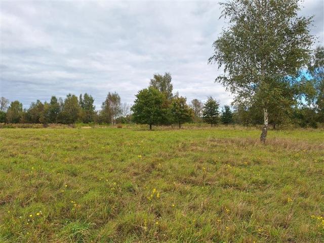 Działka 585 m² pod dom w Warszkowie, las, polecam!