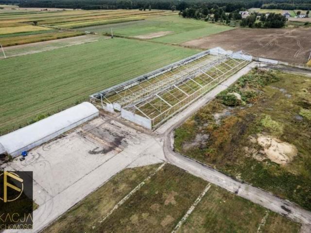 Działka 58 200 m², Blizanów