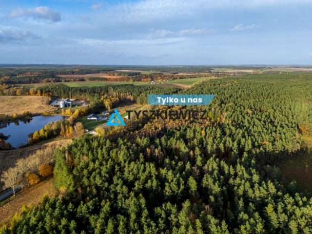 Działka 59 100 m², Nożynko