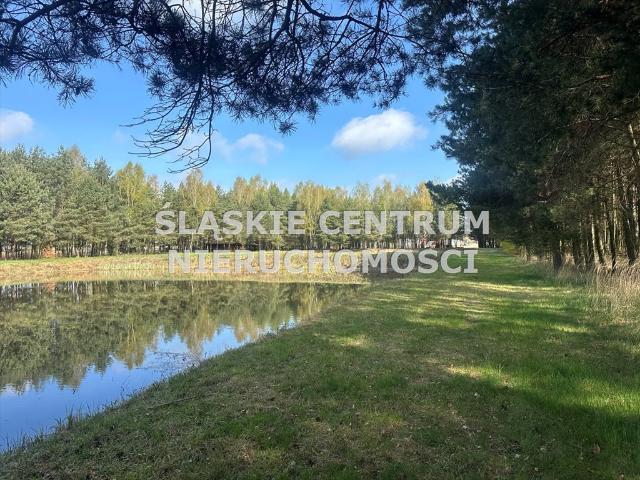 Działka 59 568 m² z halą, lasem i stawami w Ługi Radły