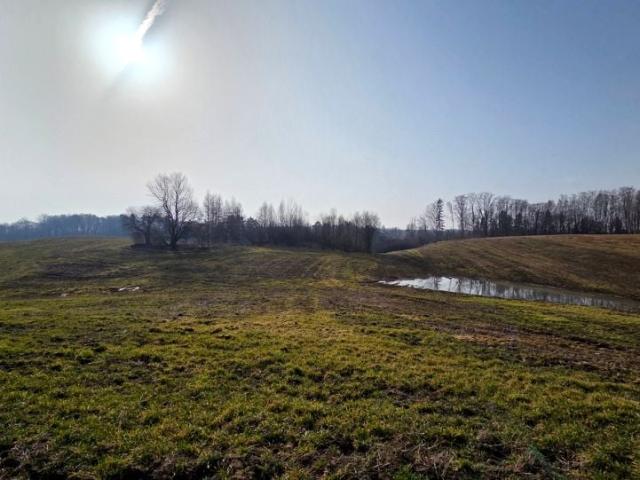 Działka 59 711 m², Stare Monasterzysko