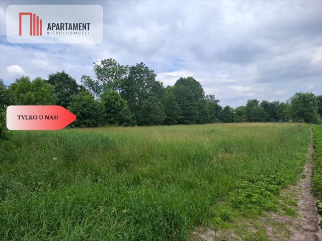 Sprzedam działkę 5000 m² w Dolinie Baryczy, las i zabudowa