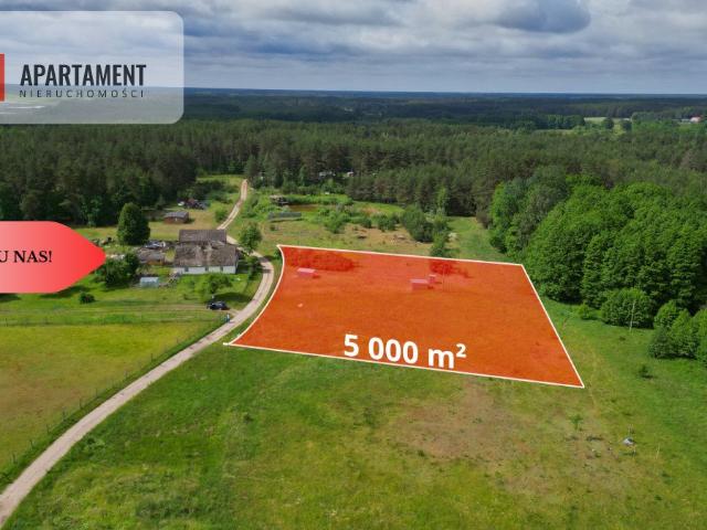 Działka 5000 m² z lasem i jeziorem, prąd, warunki zabudowy