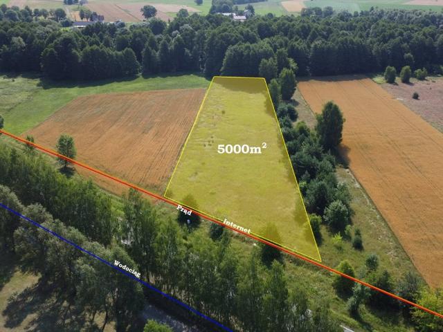 Działka 5000 m² z warunkami zabudowy w Krzyczki Szumne