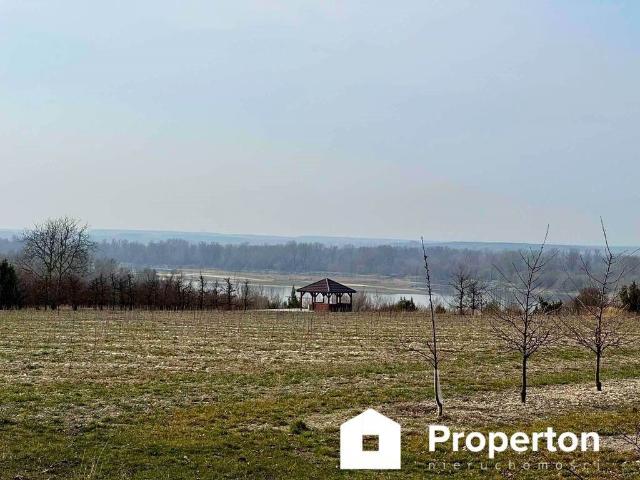 Działka 5000 m² pod inwestycję w Kaliszany Kolonia