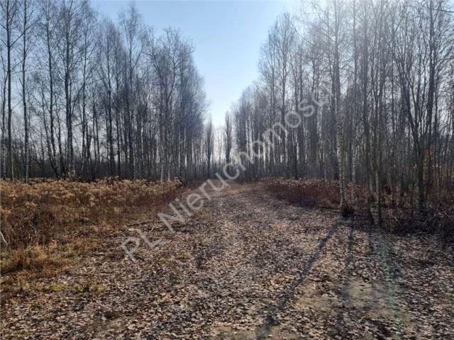 Działka 500 m², Dobczyn